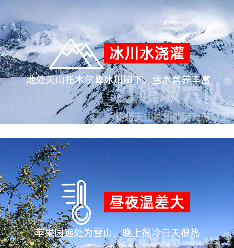 1-红旗坡六队（TB店铺详情图）1_04