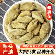 辛夷 辛夷花望春花木兰毛笔头中药材辛夷花 包邮代磨粉量大从优