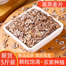厂家直发黑燕麦片中老年人冲泡即食营养代餐燕麦片