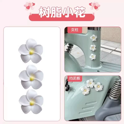 Electric car cushion – Clock for Tricycles, Small - 3-white-frangipani-flowers