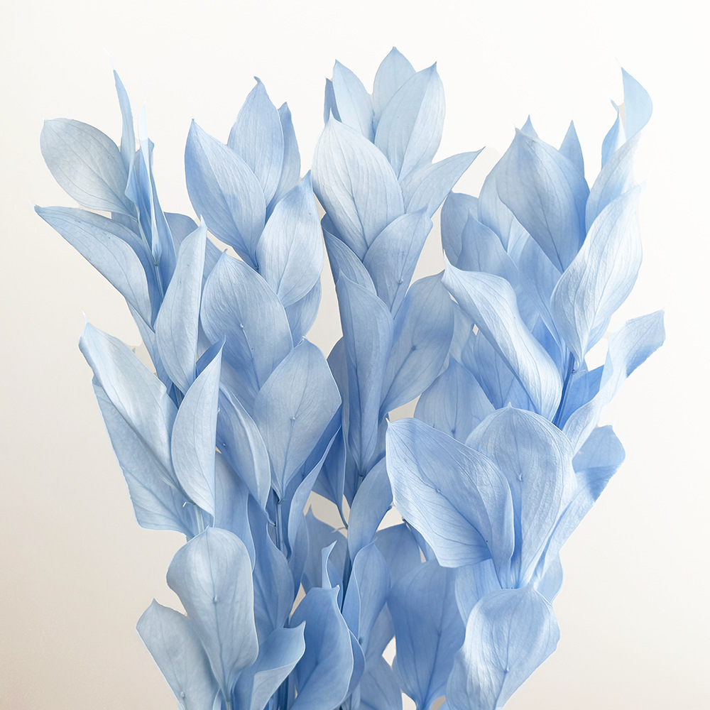 Imortales flores de naranja importación de alta calidad flores verdaderas flores secas ramo de flores DIY día de San Valentín flores hechas a mano fábrica de Yunnan al por mayor