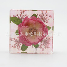 环氧树脂真花干花镶嵌桌面摆件高级手工家居别墅客厅书镇摆件