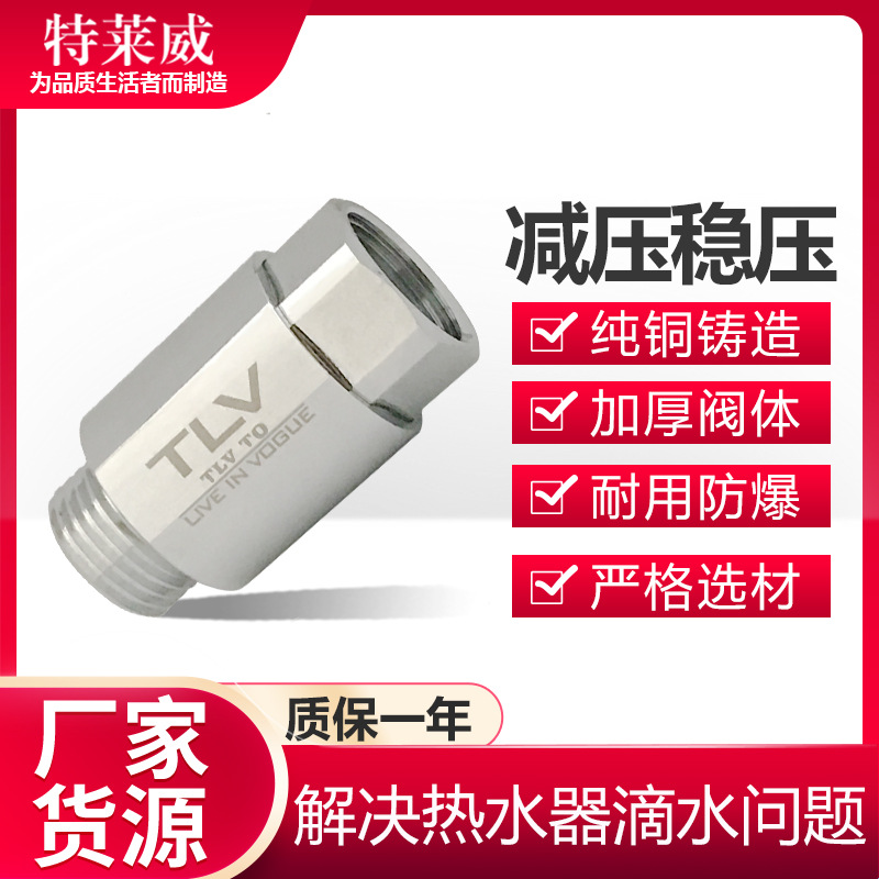 TLV全铜电热水器通用安全阀泄压减压恒压阀止回阀滴水稳压阀配件