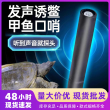 2025��������~���ڼ��~���^���Ӵ��M����~�����ڼ��~���o������