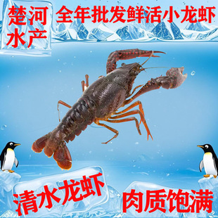 �r��С���r���l������ˮ�Bֳ����С���r���w��ˮ�r�͏d�������r