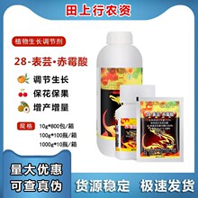 녴� ȫ���һ0.4% 28-��ܿ��ù�� ������֦���ۘ�ֲ�����L�{����