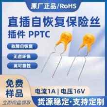 ������U�zpptc16V1A1000mAֱ���Ի֏ͱ��U�zRGEF100 X16GF100