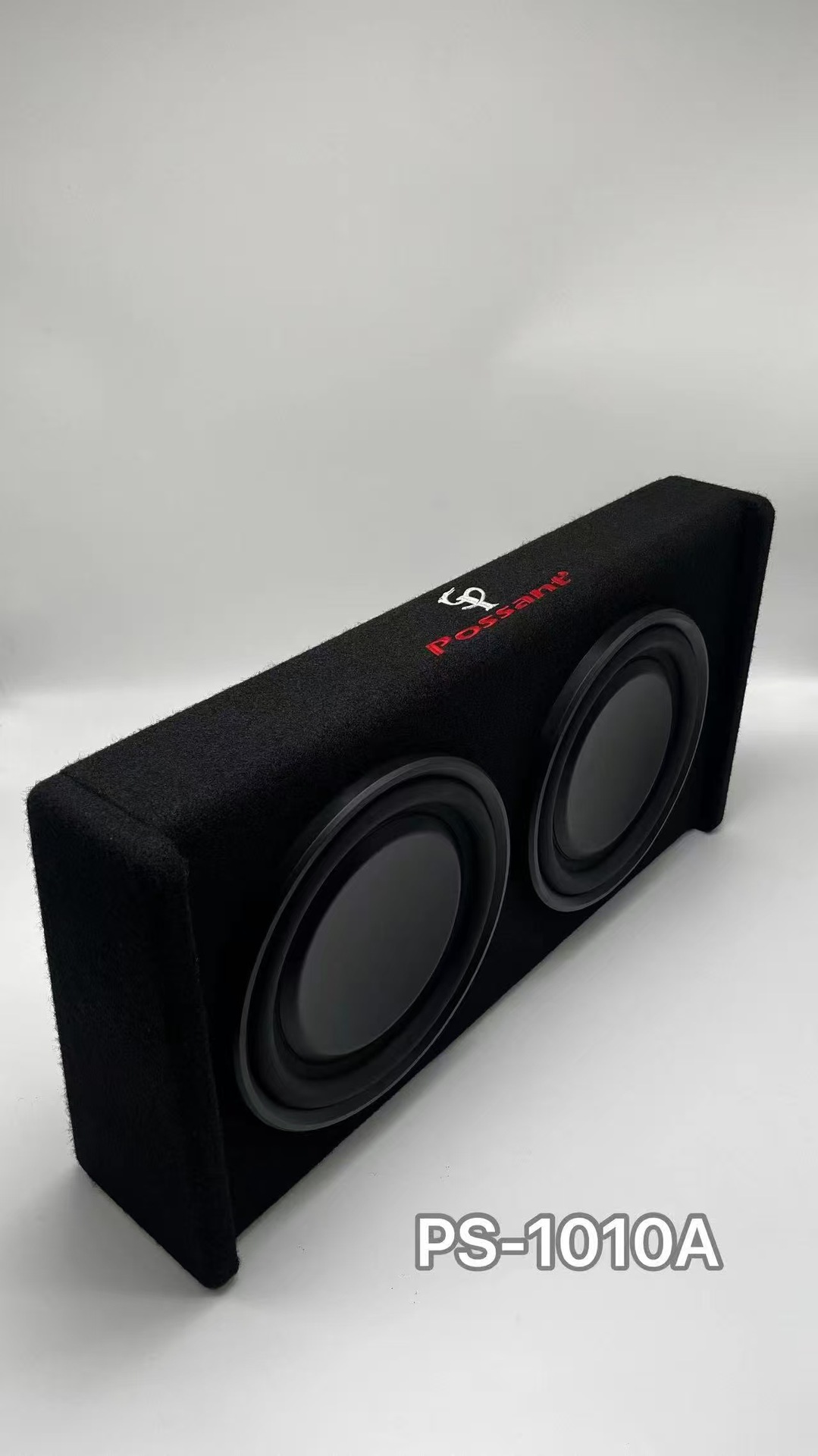 New Model 10inch Dual-Speaker Car Audio 12V Car Subwoofer High-Power Class D Digital Amplifier Active Without External Power Supply
