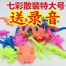 �ش�̖���󌚌���ˮ�L����� ��Û������l2019�ؔ� ���u���