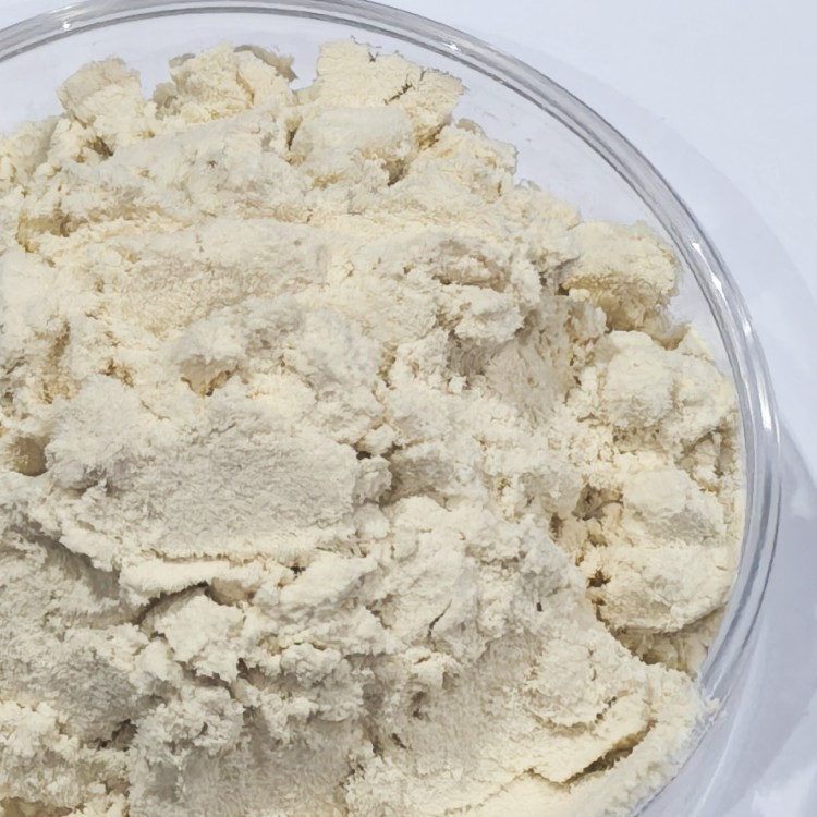 安琪酵母蛋白F75F80F90平替乳清蛋白高含量营养酵母蛋白25kg/袋|undefined