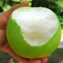 �Xɽ���殔��ˮ�����r���ӻʹ�����Ƥ��ѩ�����������ζ��֭