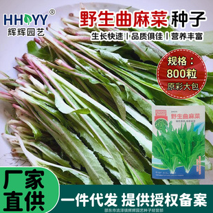 �F؛���l����˷N�ӿ�˷N�������߲˷N�Ѽ�ͥ�ˈ@�߲˷N���׳ɻ�