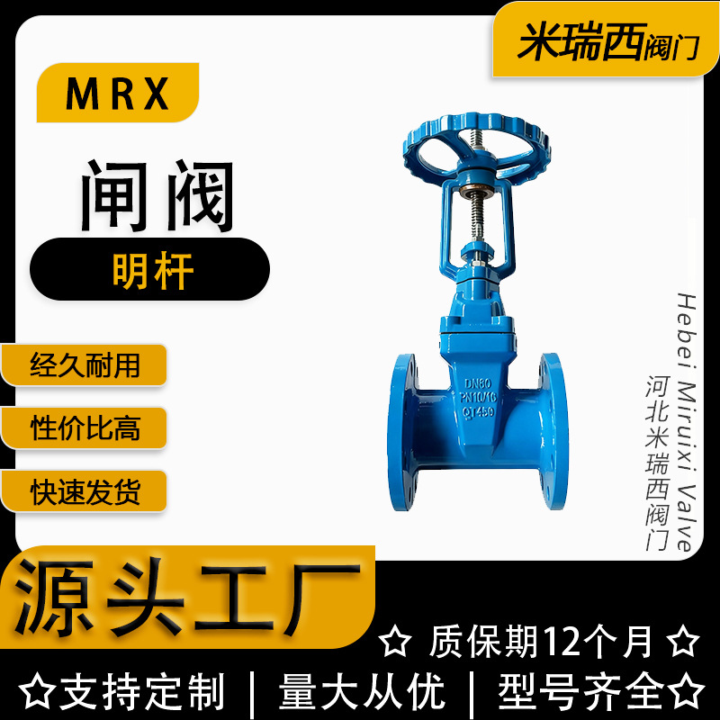 明杆闸阀软密封法兰球墨铸铁防护闸阀 厂家河北Z41X-16Q