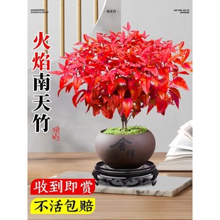 �������������Կ͏d�҃ȾGֲ�t�~�����辰С�����ؼ������ļ����B