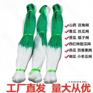�Nֲ�W�����S�ϒ�W���W��������W�K�߲��r�������L�B�J����