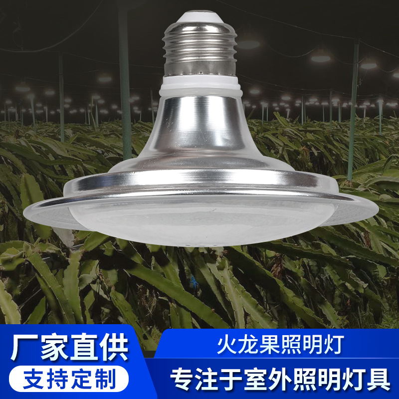 Outdoor LED plant growth lamp strawberry greenhouse vegetable fill light winter ripening function pitaya lighting lamp