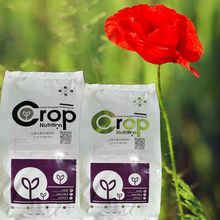 ���ҳ���ֱ�� ����Ԫ��ˮ�ܷ� 20-20-20�ֻ�������ʩ��Ҷ���ũҵ