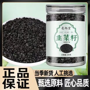 �²�����ș��Ұ���²��Ӵ���轲���ɐ���˽z�����l���l��ș�����l
