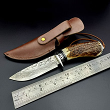 ���Rʿ��䓵� ¹�ǵ� ˮ���� ���⵶