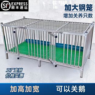 ���P䓼Ӹ߼ӌ���̖�u�\�����Z�����\���Ñ��������ˮ�ƄӉ�����