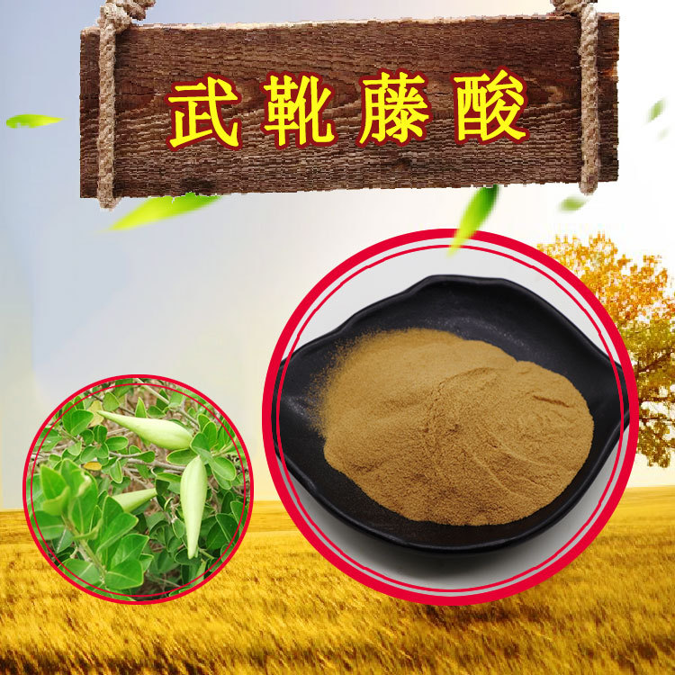 武靴藤酸25%品质可靠武靴藤酸粉现货包邮100g/袋武靴藤提取物10:1