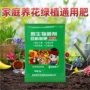 超大促进发芽实惠土壤