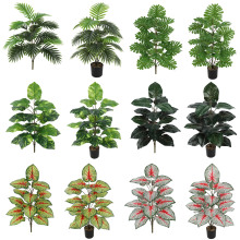 ���滨�������ϼٻ��Gֲ��ˇ��Y����Ҿ����������b�ˇƷ���l