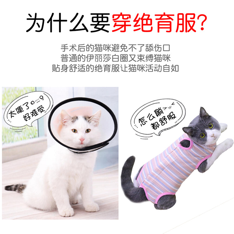 狗狗小中型犬猫咪绝育服手术后水果系列四季宠物衣服用品服饰详情3