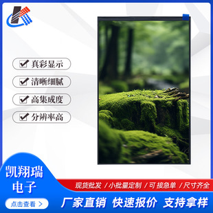 10.1��Һ����800*1280MIPI�ӿ�30PIN���y�O��C�� �T���@ʾҺ����
