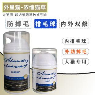 ����؈D������؈�ݷ���ë����ë��ë��Ƭ؈�䌣����؈��؈��ë