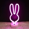 Fuchsia rabbit