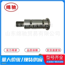 ׃�������g�SJS220-1701082�羳���������������������܇���