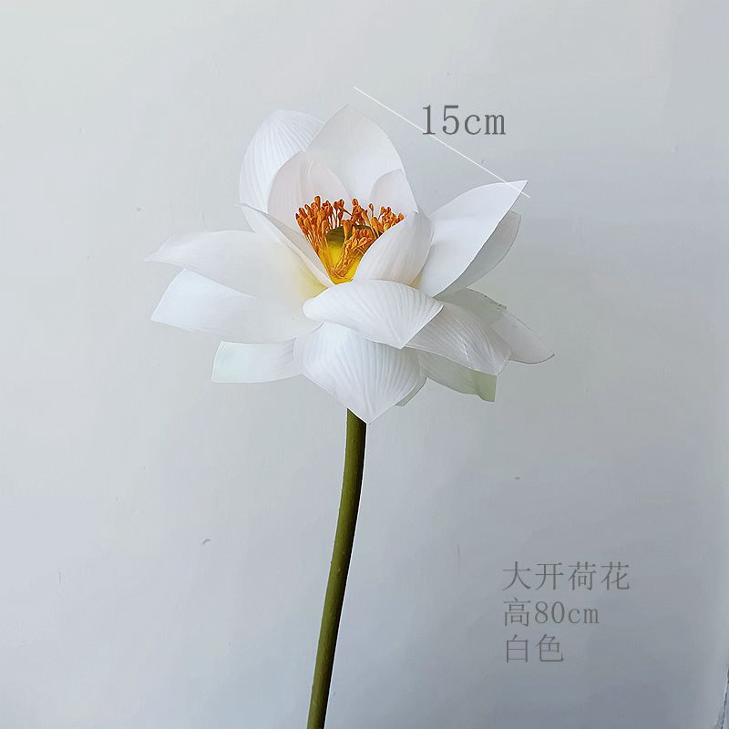 큰 연꽃 화이트