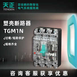 天正电气透明塑壳断路器空气开关TGM1N过载短路保护断路器