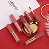 Matte nutritious lip gloss, set, new collection, 24 pieces
