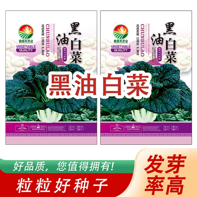 Семена черной масляной капусты вкусны и освежающие. Семена черной масляной капусты готовы к продаже от производителя в Россию.