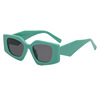 Retro brand fashionable sunglasses, trend glasses, 2022 collection, European style