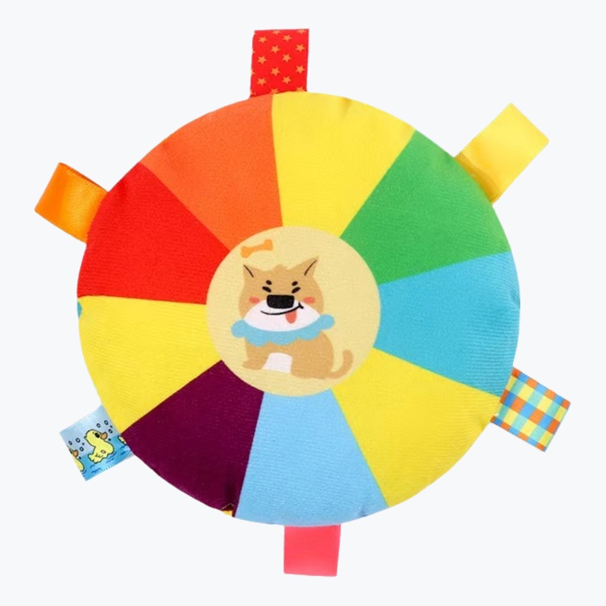 강아지 프리스비