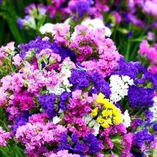 aѪݷNӻN ޸ҷN ׷Nֲͺ׷N