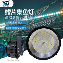 羳led~ˮˮT~~~COBҹҰស