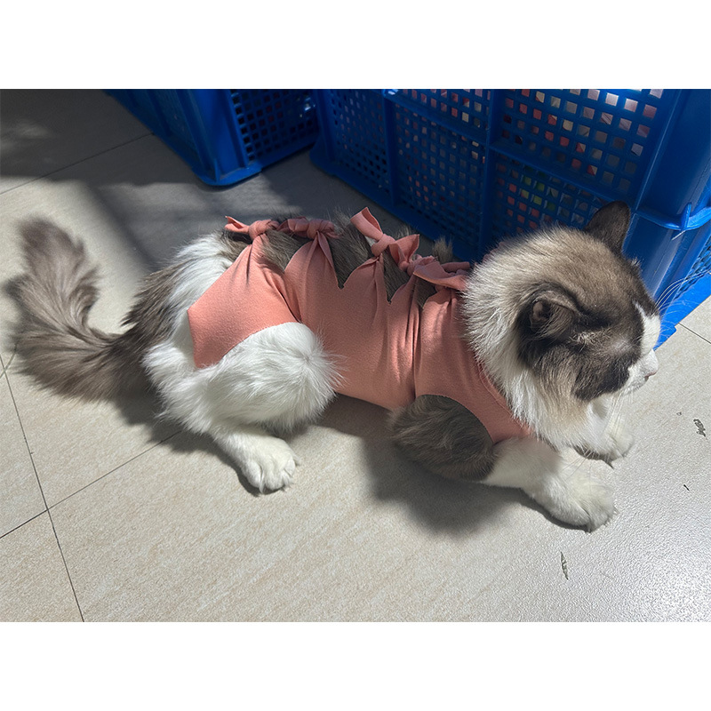 퓨어 코튼[오렌지]