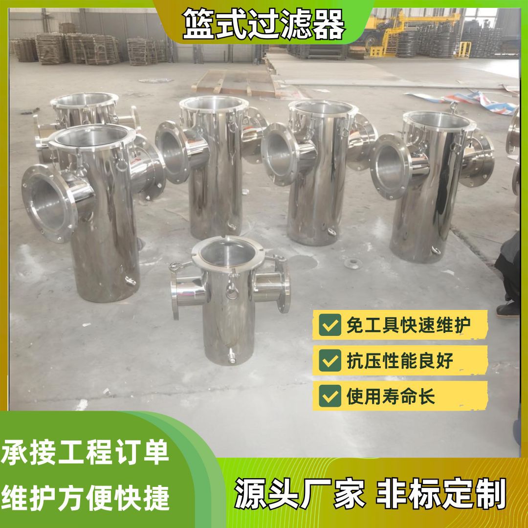 304 316L不锈钢提篮蓝式过滤器毛发收集器天燃气管道直通式过滤器