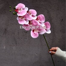 蝴蝶兰仿真花7头软胶 胶片pu保湿手感高档装饰兰花家居装饰婚庆