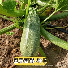 �}�������J�N����Ʒ�N�����J�������ϷN�Ѷ������ϸC�ϽǹϿ�����