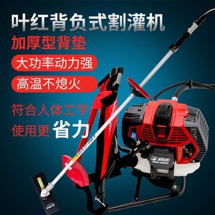 Italian Leaf Red Dsh4000Bp Backpack Lawn Mower for Clearing Land, Shrubs, Orchards, Weeding, and Garden Maintenance