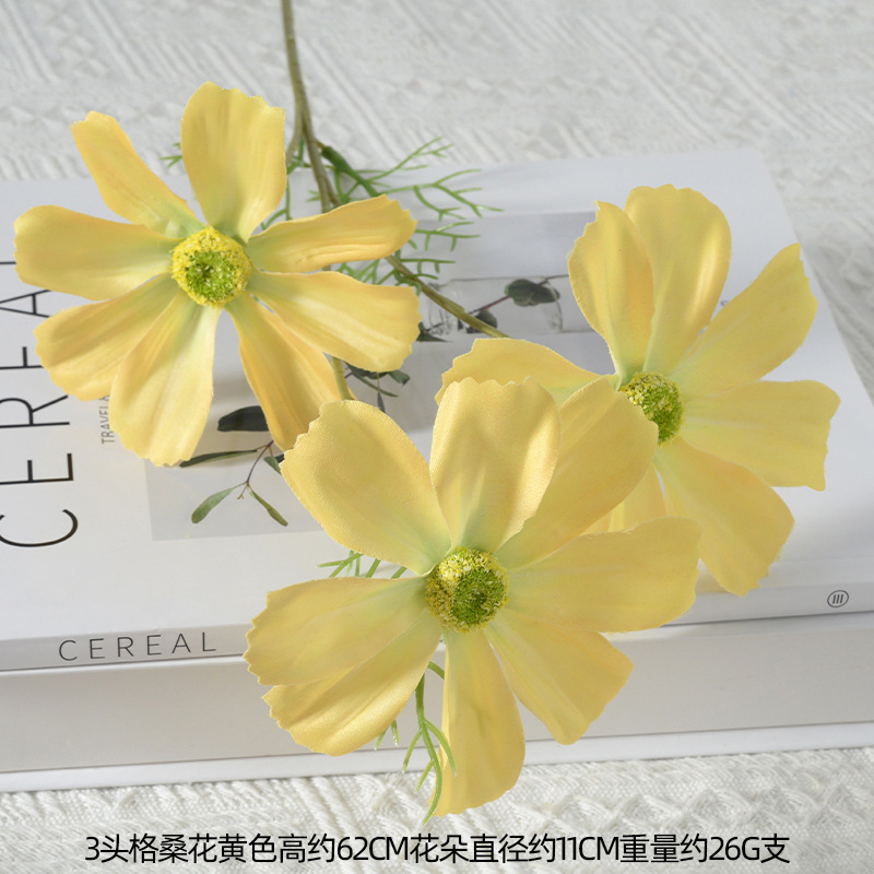 3 رؤوس Gesanghua صفراء