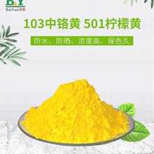 �P���Пo�C������t�S501�����S�f�t�t���a�N��