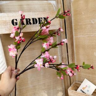 ?��֦���Ļ��ߙѻ�������c�쾰�����l�ٻ��b�