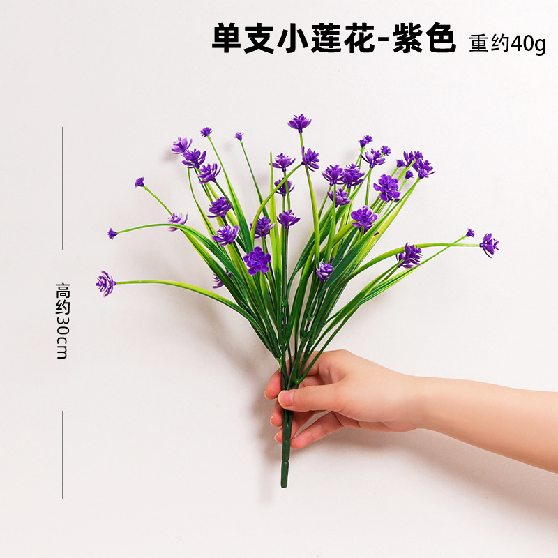 Un solo loto pequeño - morado