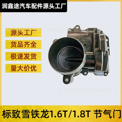 V867527880/13547528179/163631 Peugeot Citroen Bmw Mini üçün qaz klapanı